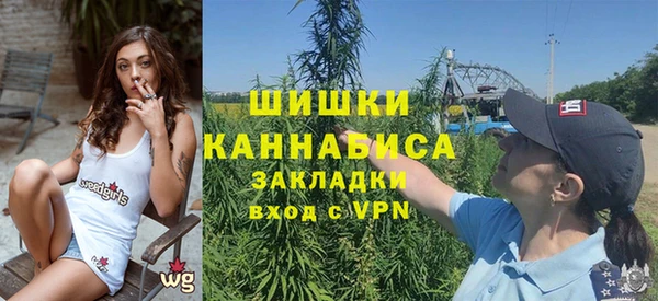 метадон Вяземский
